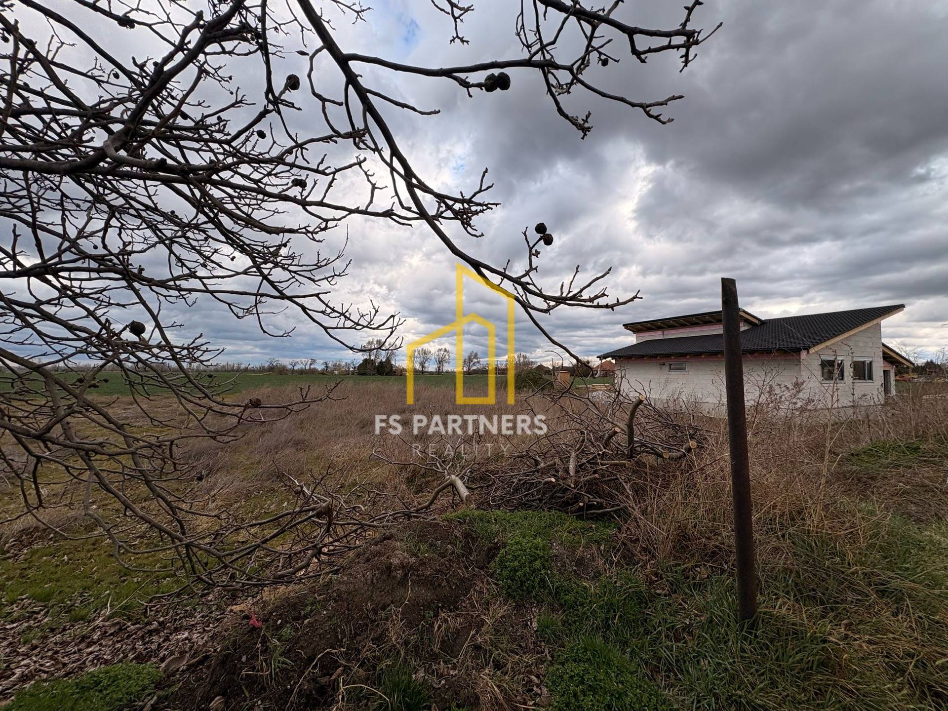 WhatsApp Image 2025-03-13 at 16.22.21.jpeg